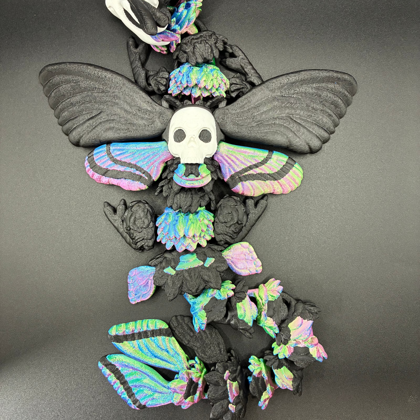 Death’s Bloom Moth