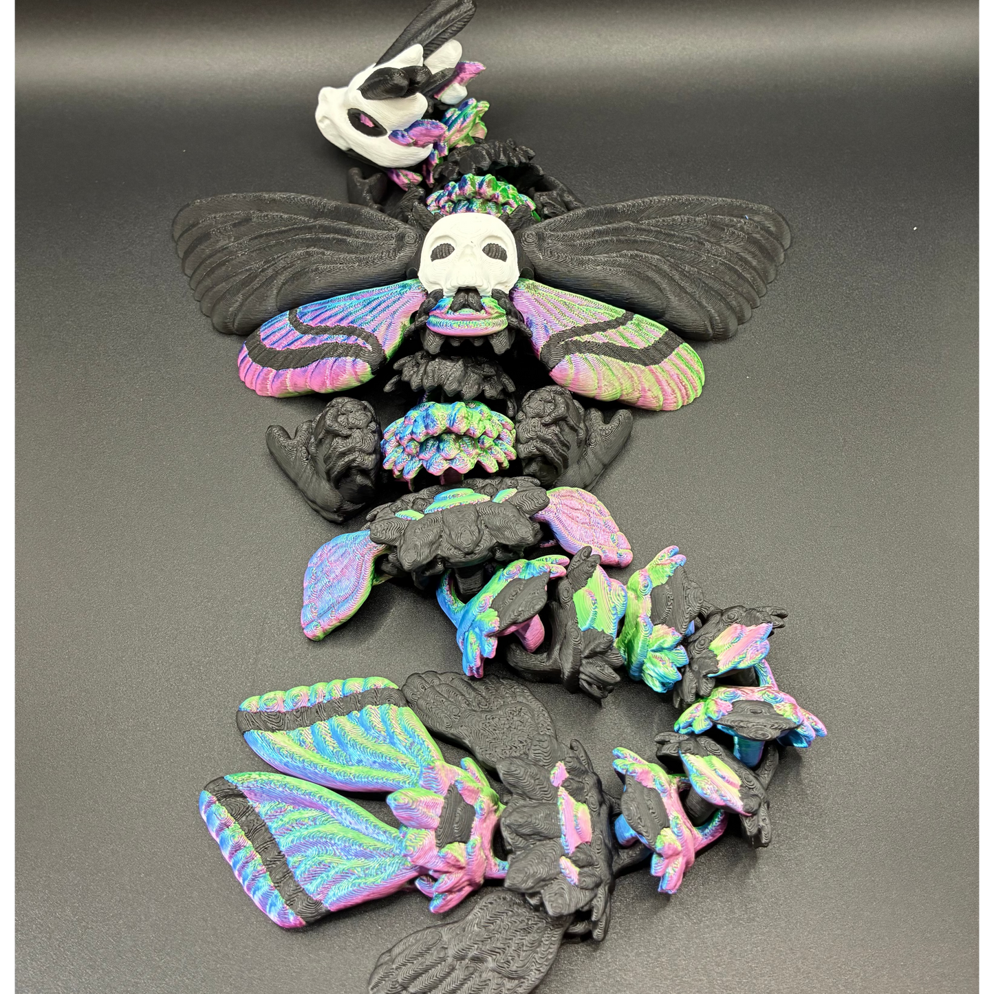 Death’s Bloom Moth
