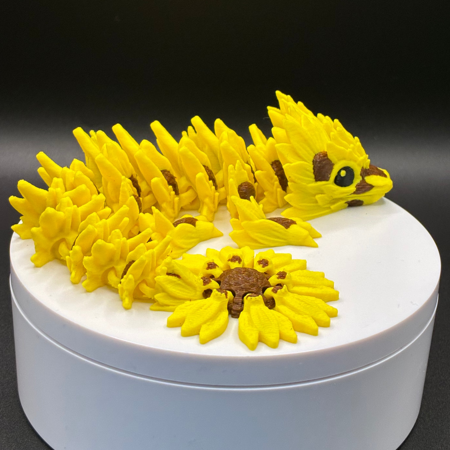 Sunward Petal Dragon