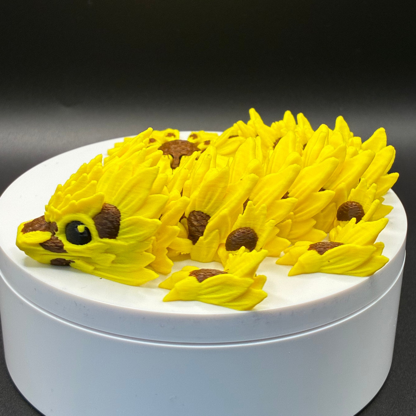 Sunward Petal Dragon