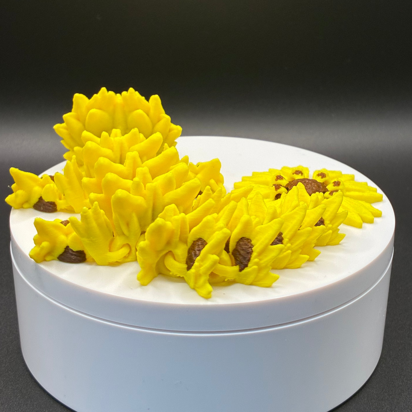 Sunward Petal Dragon