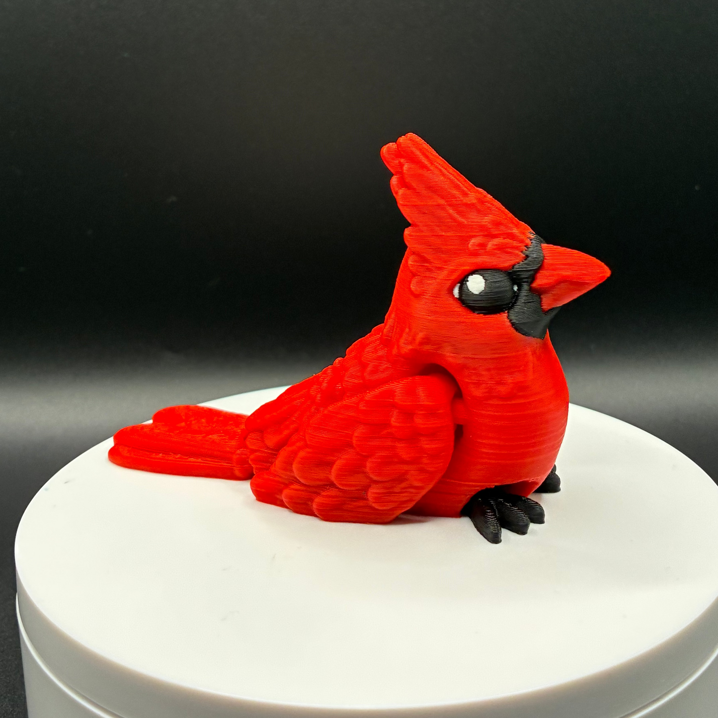 Crimsonbound Cardinal