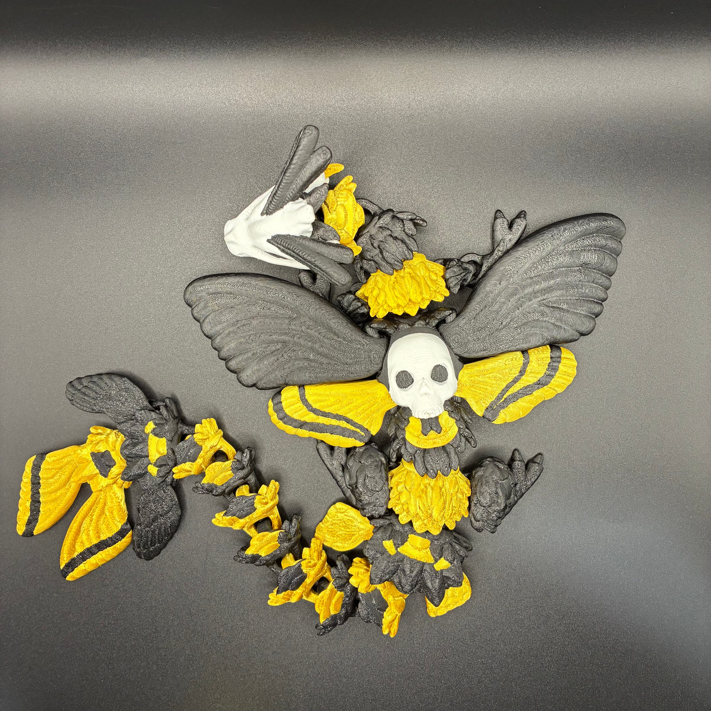 Death’s Bloom Moth