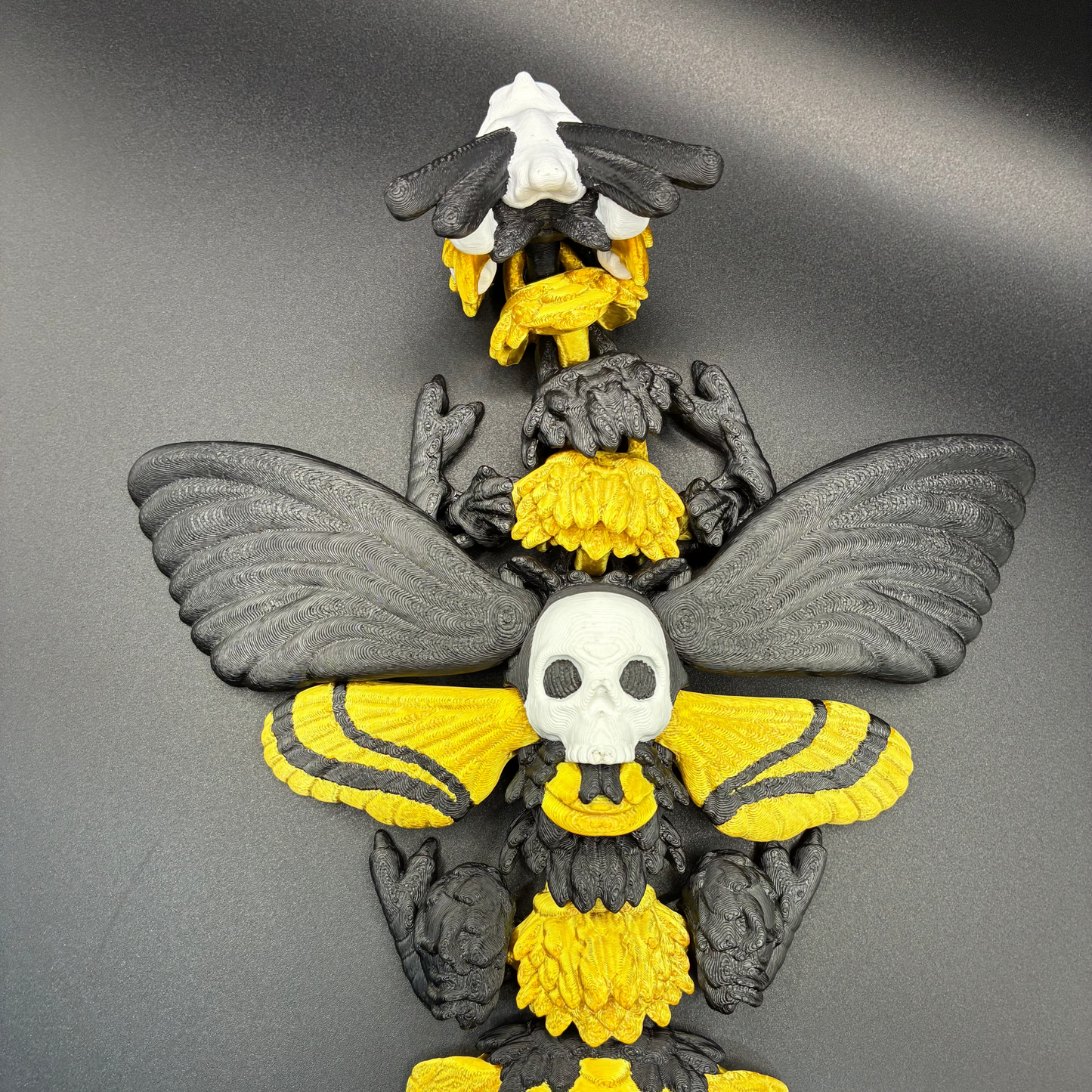 Death’s Bloom Moth
