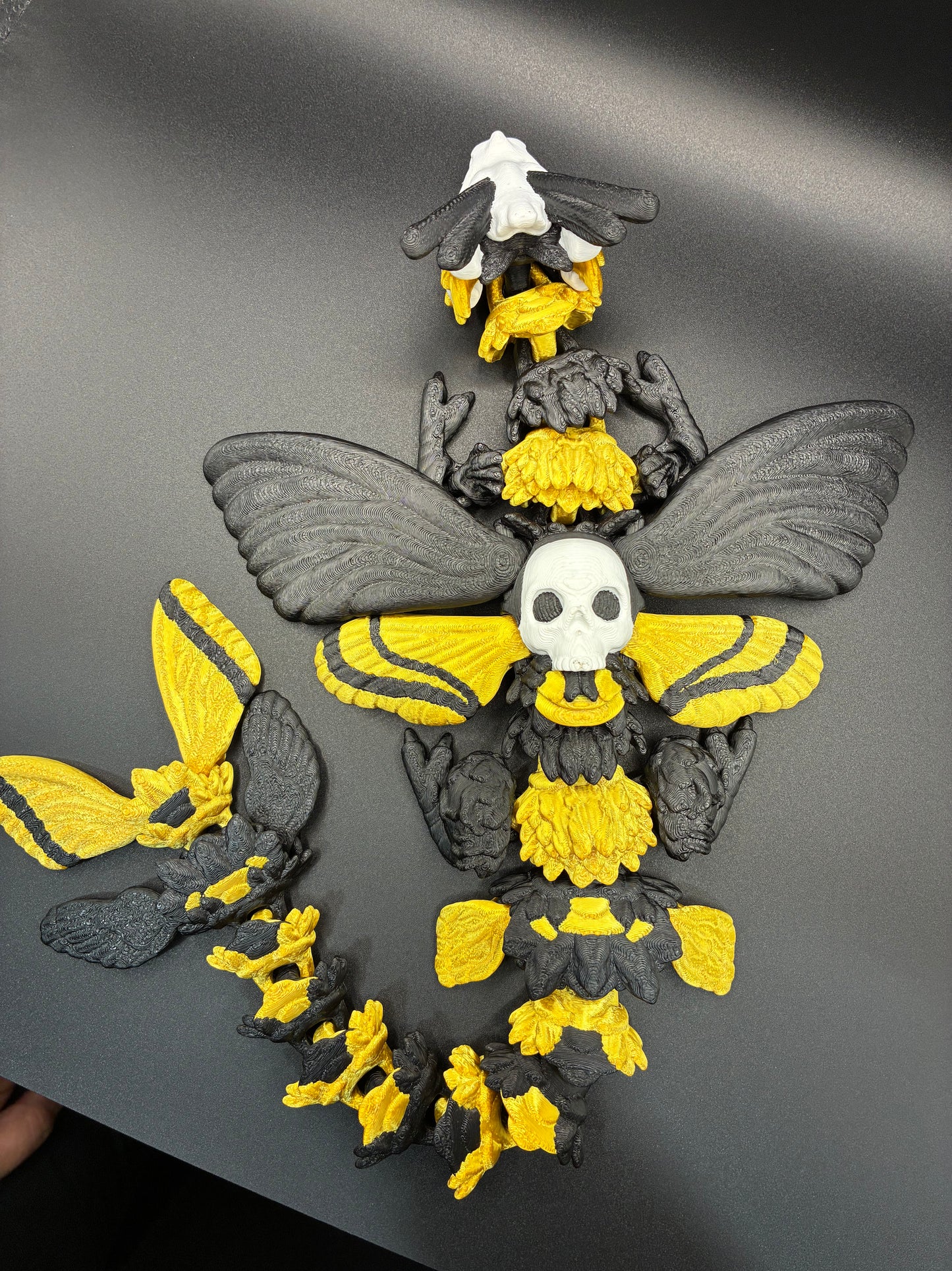 Death’s Bloom Moth