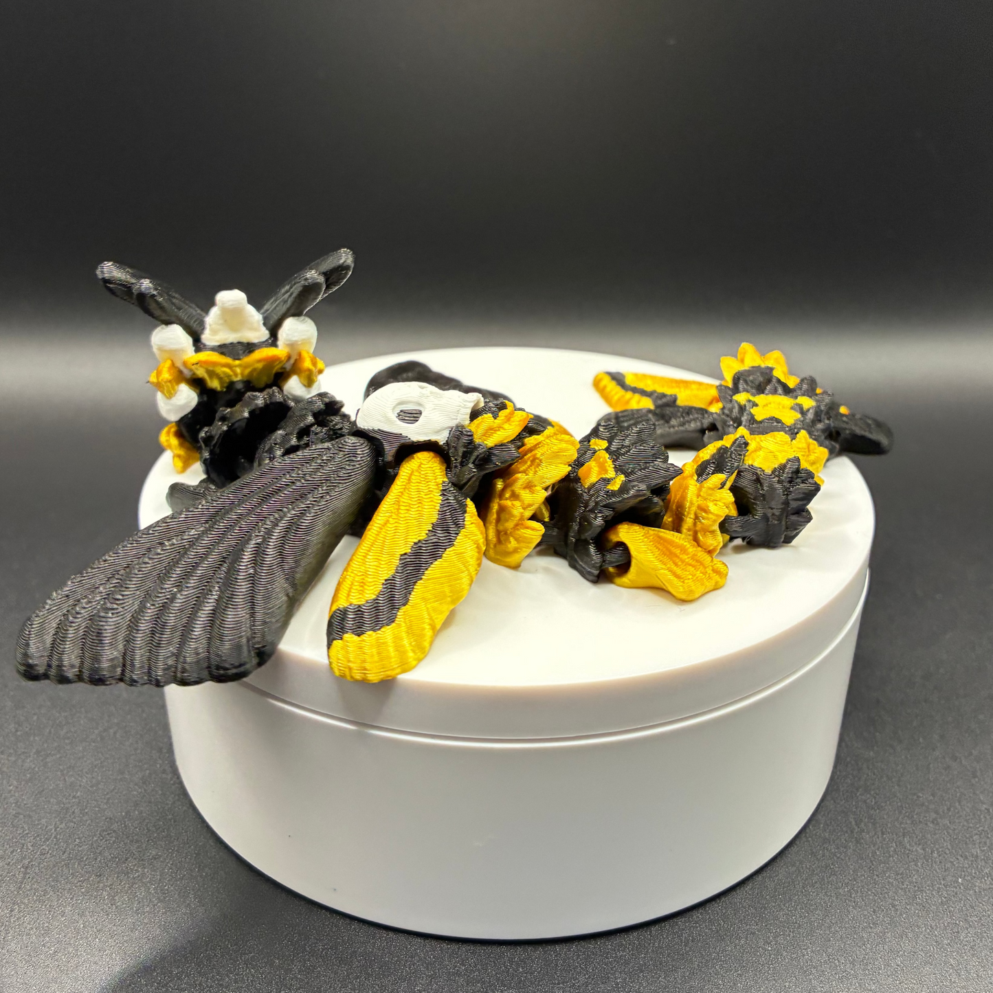 Death’s Bloom Mothling