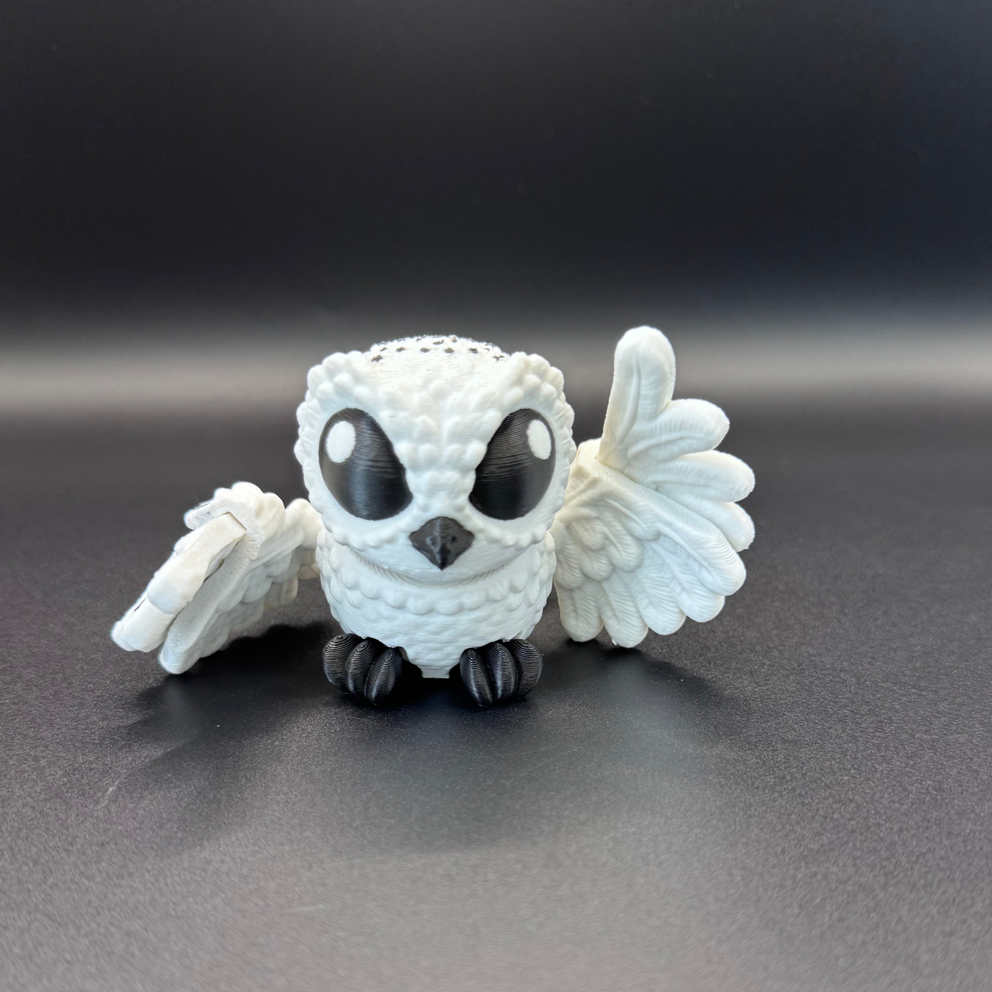 Snowy Owl