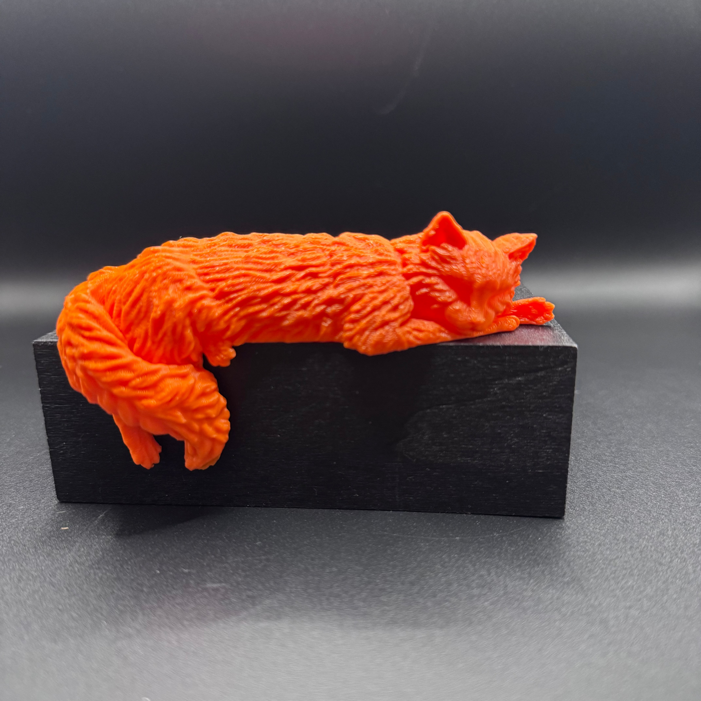 Cat Shelf Sitter- Cozy Companion