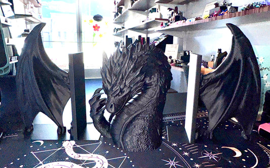 Dragon Book Nook Set – Guardian of the Spine