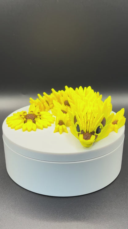 Sunward Petal Dragon