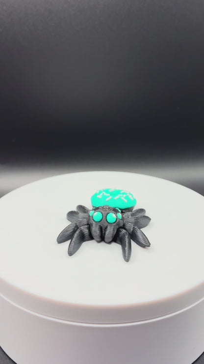 Donutcap Spider